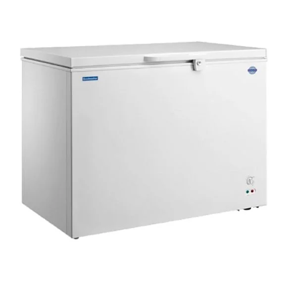 Imagen de CONGELADOR GOODWEATHER 200LTS GW-240 XT