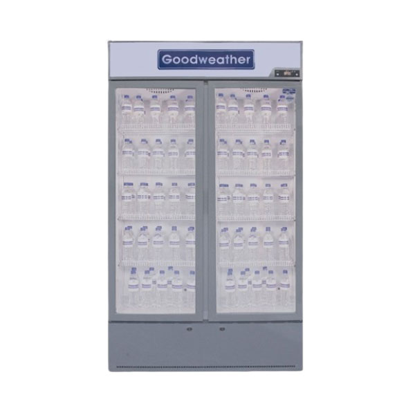 Imagen de EXHIBIDOR GOODWEATHER 2 P 810L GW-810H