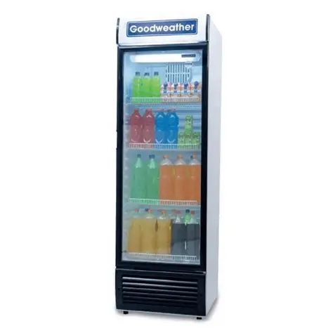Imagen de EXHIBIDOR GOODWEATHER GW-450H EF