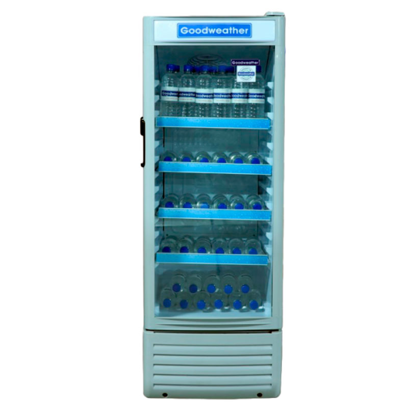 Imagen de EXHIBIDOR GOODWEATHER GW-170-EF